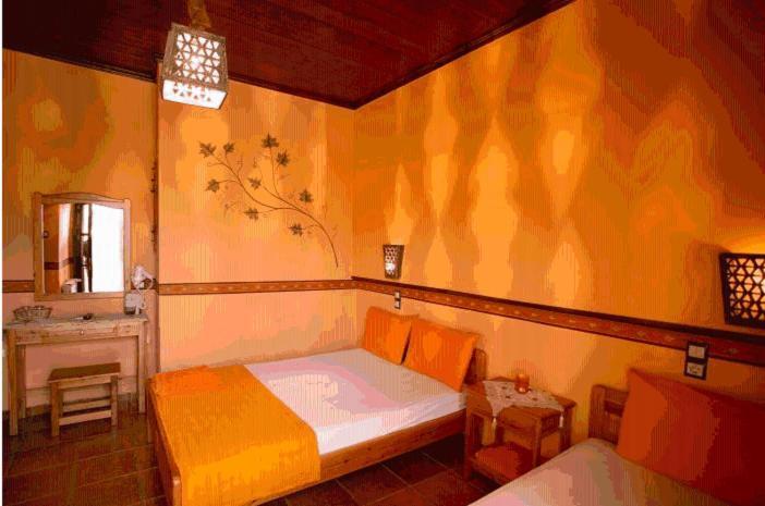 Guesthouse Patavali Калампака Экстерьер фото