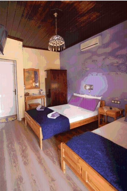 Guesthouse Patavali Калампака Номер фото